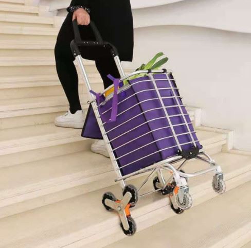Portable Shopping Cart 